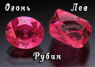 Лев, рубин Лев, рубин